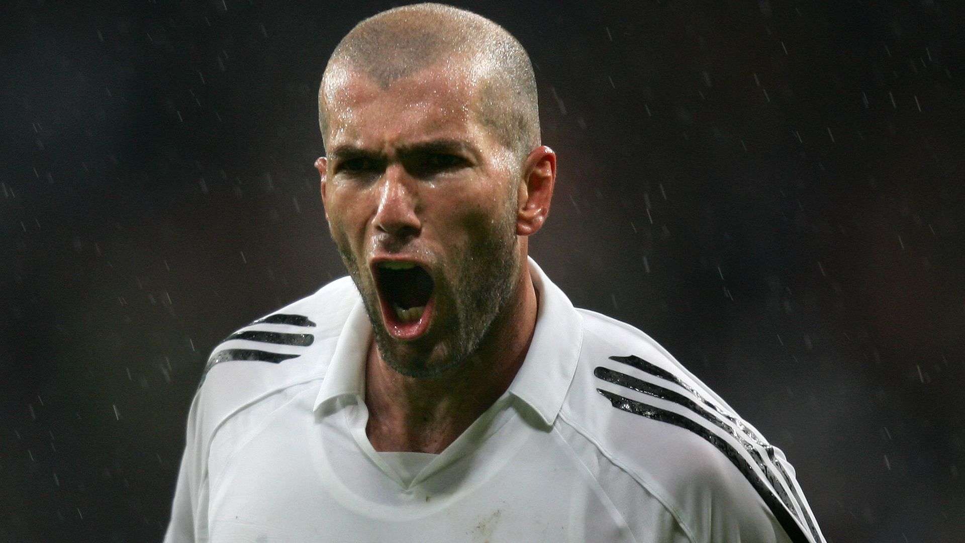 广东大胜浙江夺冠！王睿泽与双后场齐爆发，内线稳健小胡焦泊乔仍低迷